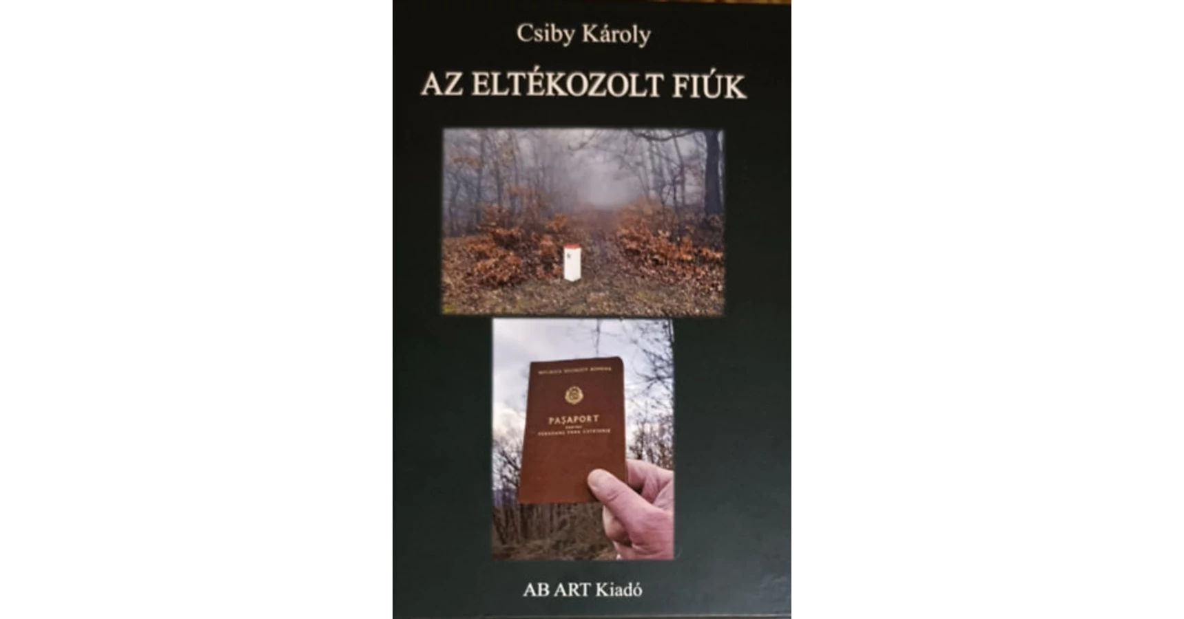 Az eltékozolt fiúk - Csiby Károly | könyv - ingyenes szállítás