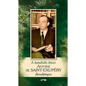 A katedrális kövei - Saint-Exupéry füveskönyve - Bővített kiadás - Antoine De Saint-Exupéry