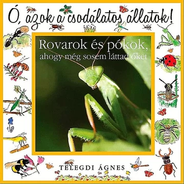 Ó, azok a csodálatos állatok!  - Rovarok és pókok - AHOGY MÉG SOSEM LÁTTAD ŐKET - Telegdi Ágnes