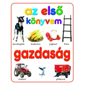 Gazdaság - Az első könyvem