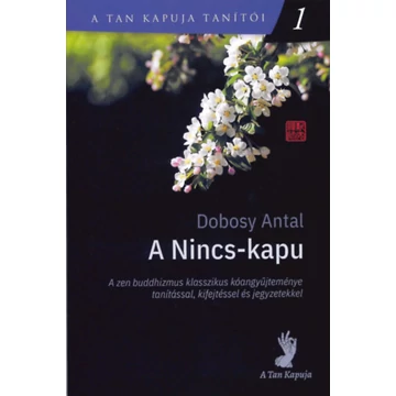 A Nincs-kapu - A tan kapuja tanítói 1. - Dobosy Antal