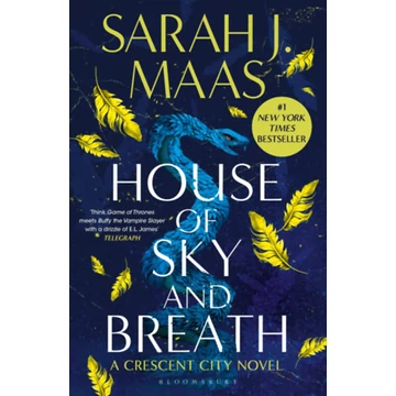 House of Sky and Breath - Sarah J. Maas