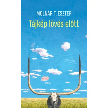 Tájkép lövés előtt - Molnár T. Eszter