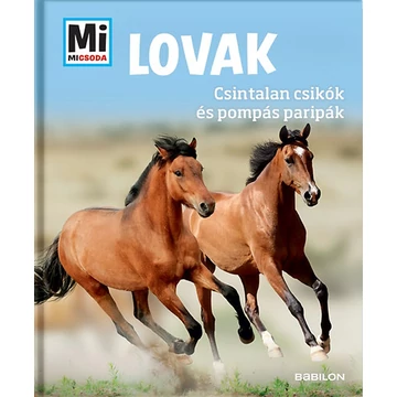 Lovak - Csintalan csikók és pompás paripák - Mi Micsoda - Silke Behling