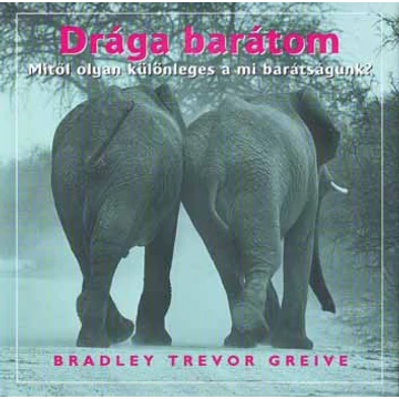 Drága barátom - Mitől olyan különleges a mi barátságunk? - Bradley Trevor Greive