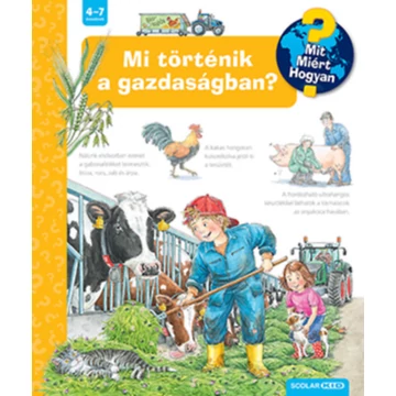 Mi történik a gazdaságban? - Mit? Miért? Hogyan? - Andrea Erne