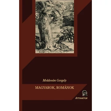 Magyarok, románok - A nemzetiségi ügy kritikája - A nemzetiségi ügy kritikája - Moldován Gergely