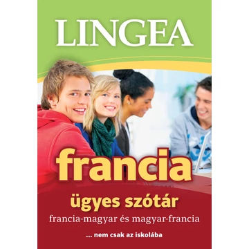 Lingea francia ügyes szótár