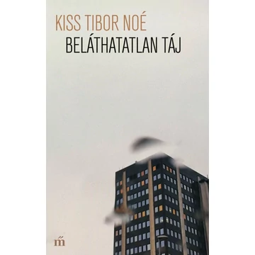 Beláthatatlan táj - Kiss Tibor Noé