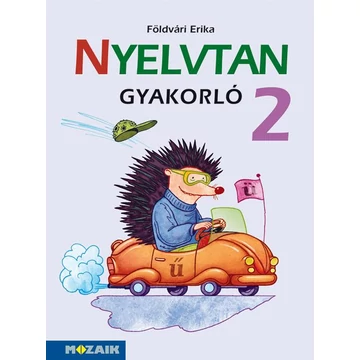 MS-1627 Nyelvtan gyakorló 2. osztály - Földvári Erika