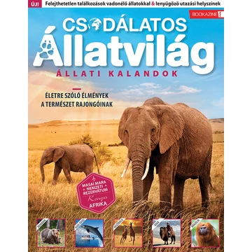 Füles Bookazine - Csodálatos álllatvilág - Állati kalandok - Brezvai Edit