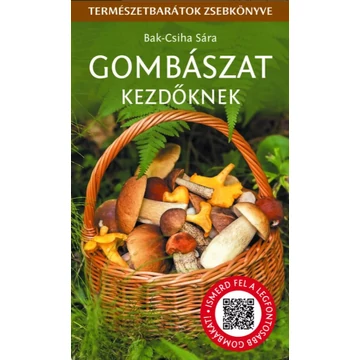 Gombászat kezdőknek