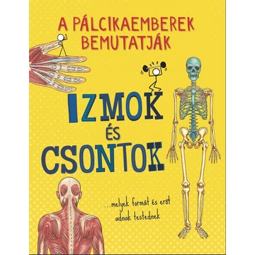 A pálcikaemberek bemutatják: Izmok és csontok