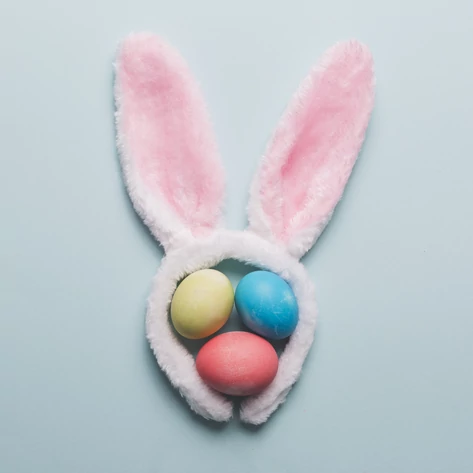 Így hozzon a nyuszi könyvet a Könyvespolcról - a könyvespolcodra