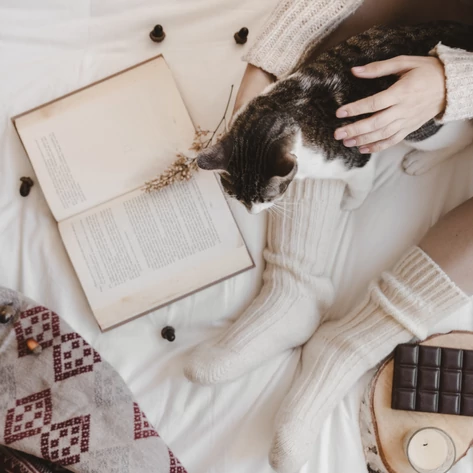 Olvasási kihívás a februári hideg napokra: ne engedd, hogy megdermesszen a tél!