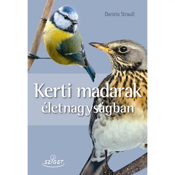 Kerti madarak életnagyságban - Daniela Strauss