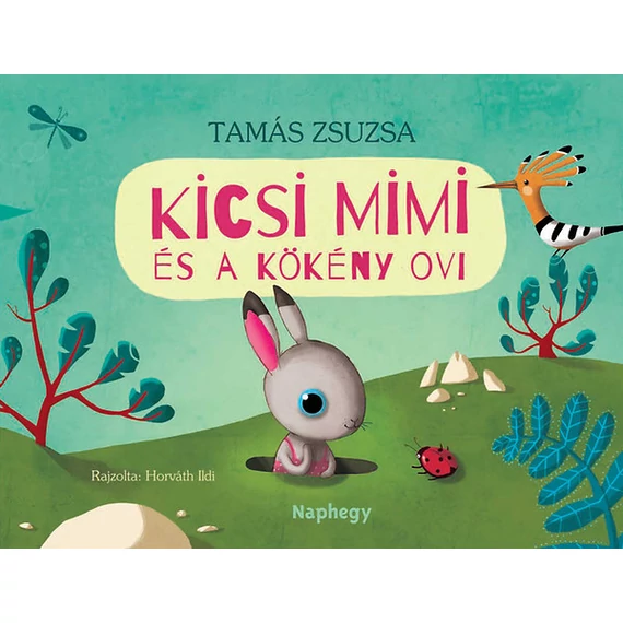 Kicsi Mimi és a Kökény ovi - Tamás Zsuzsa