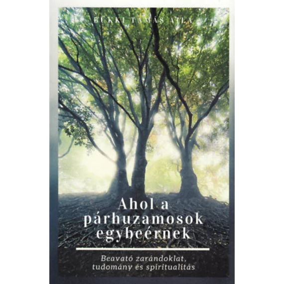 Ahol a párhuzamosok egybeérnek - Beavató zarándoklat, tudomány és spiritualitás - Bükki Tamás Aila