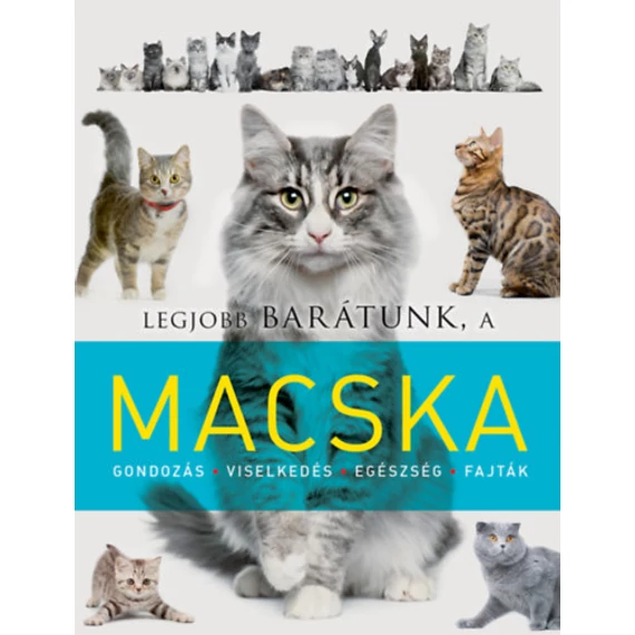 Legjobb barátunk, a macska