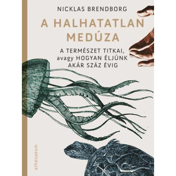 A halhatatlan medúza - A természet titkai, avagy hogyan éljünk akár száz évig - Nicklas Brendborg