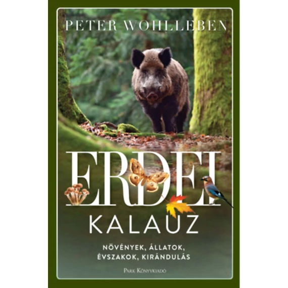 Erdei kalauz - Növények, állatok, évszakok, kirándulás - Peter Wohlleben