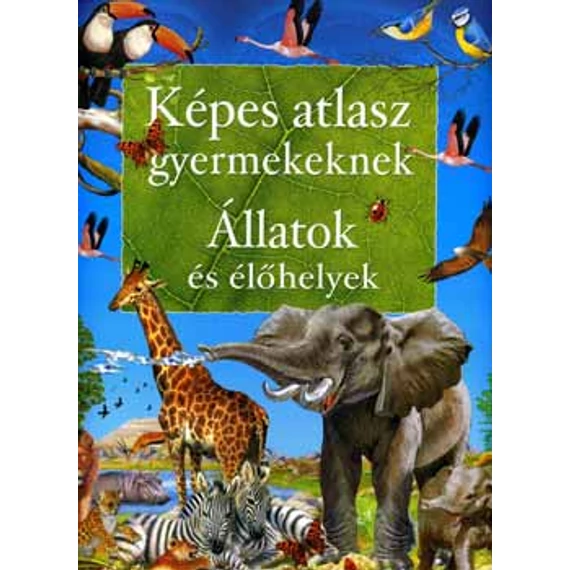 Képes atlasz gyermekeknek - Állatok és élőhelyek - Állatok és élőhelyek - Francisco Arredondo