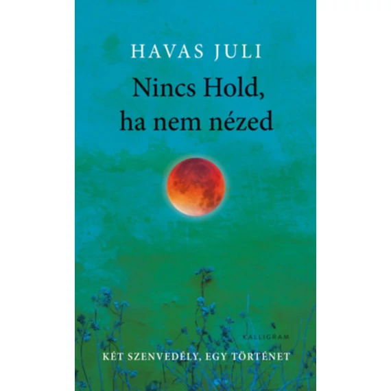 Nincs Hold, ha nem nézed - keménytáblás - Havas Juli