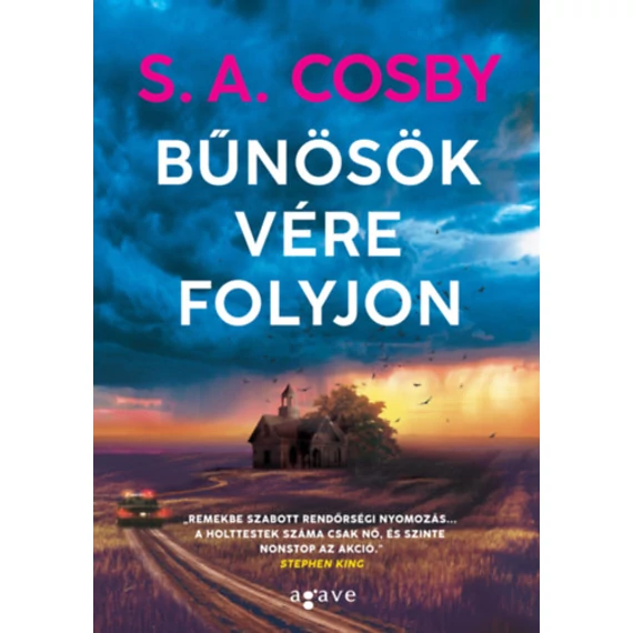 Bűnösök vére folyjon - S. A. Cosby