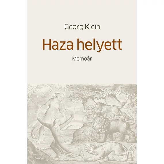 Haza helyett - Georg Klein