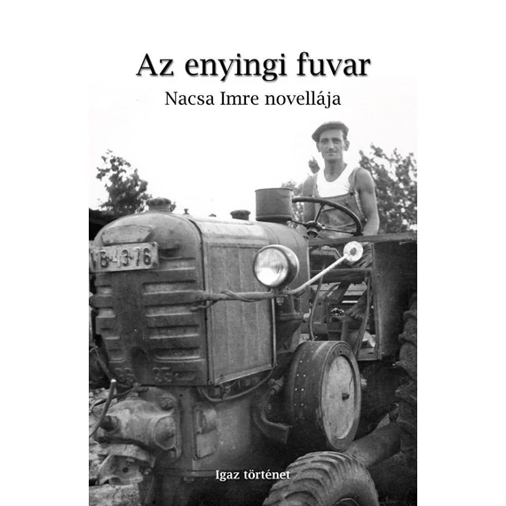 Az enyingi fuvar - Nacsa Imre