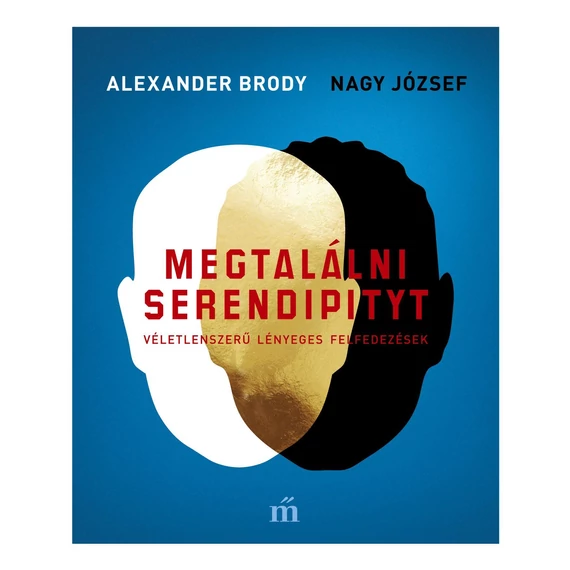 Megtalálni Serendipityt - Alexander Brody