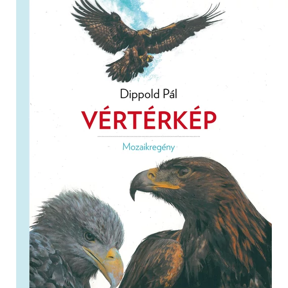 Vértérkép - Mozaikregény - Dippold Pál
