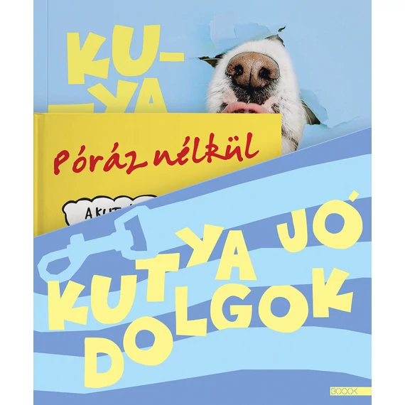 Kutya jó dolgok - díszdoboz - Balogh Lívia