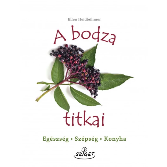 A bodza titkai - Egészség, szépség, konyha - Ellen Heidböhmer