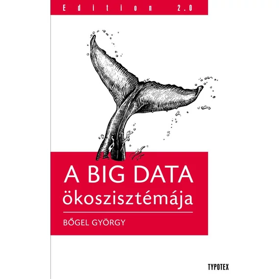 A Big Data ökosztisztémája - Bőgel György