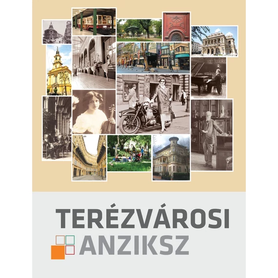 Terézvárosi anziksz